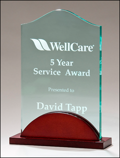 Acrylic Award