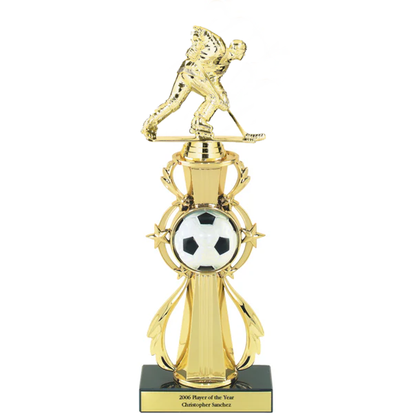 3D Full Color Sport Ball Star Riser Award Trophy