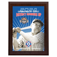 Babe Ruth Full Color District Award Plaques
