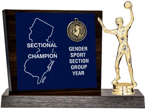 Volleyball Sectional Champion Award, Walnut Styled Replica