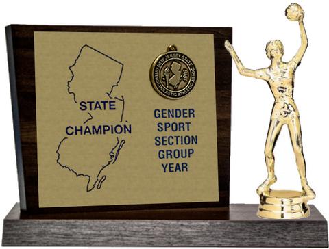 Volleyball State Champion Award, Walnut Styled Replica