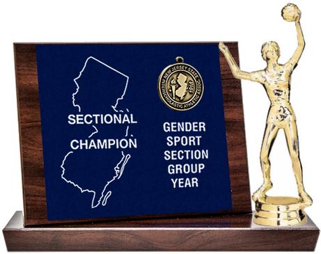 Volleyball Sectional Champion Award, Cherry Finish Styled Replica